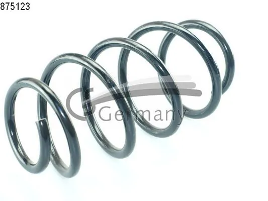 Suspension Spring
